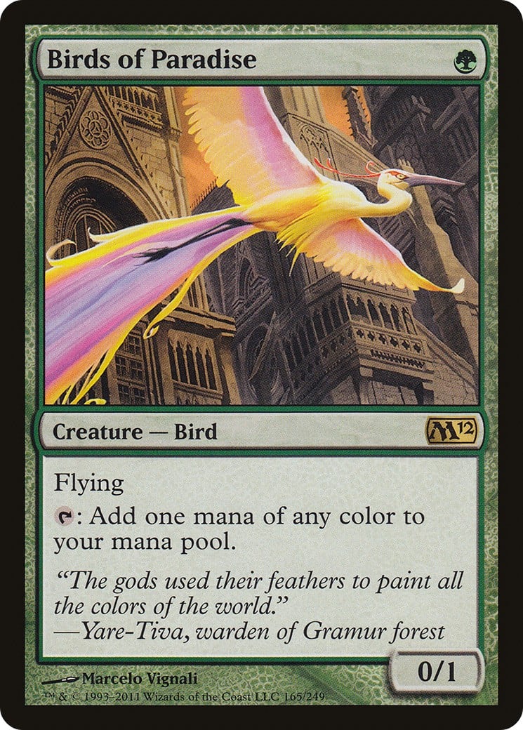 Birds of Paradise - Image 1