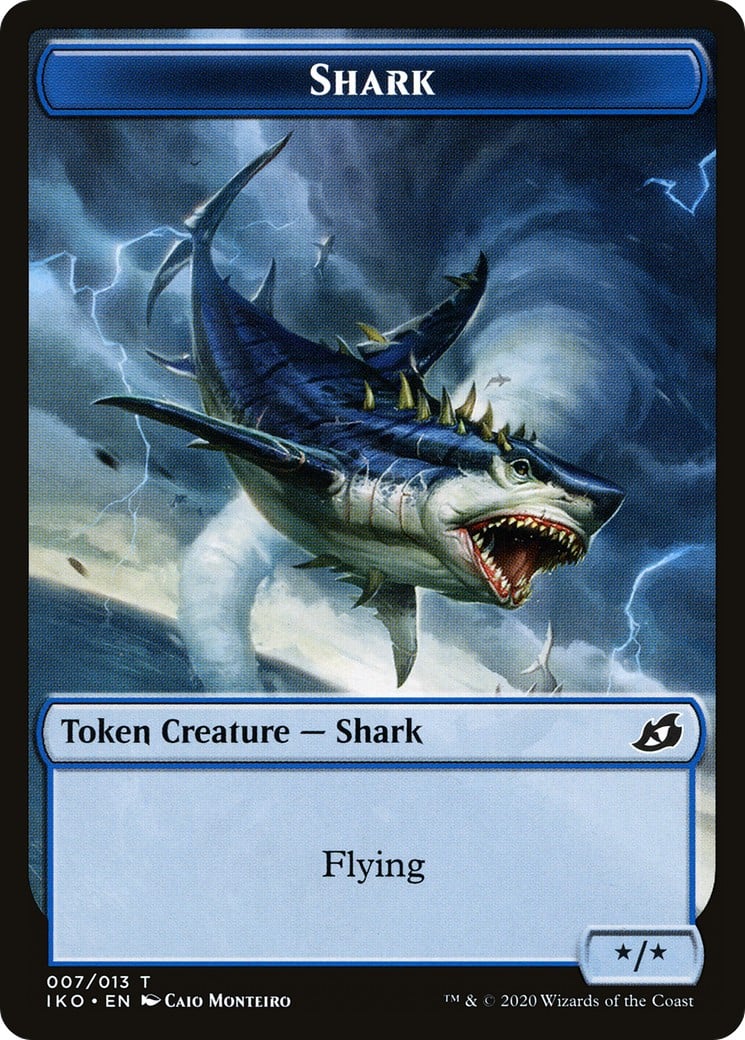 Shark - Image 1