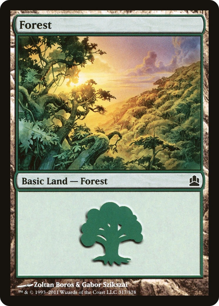 Forest - Image 1