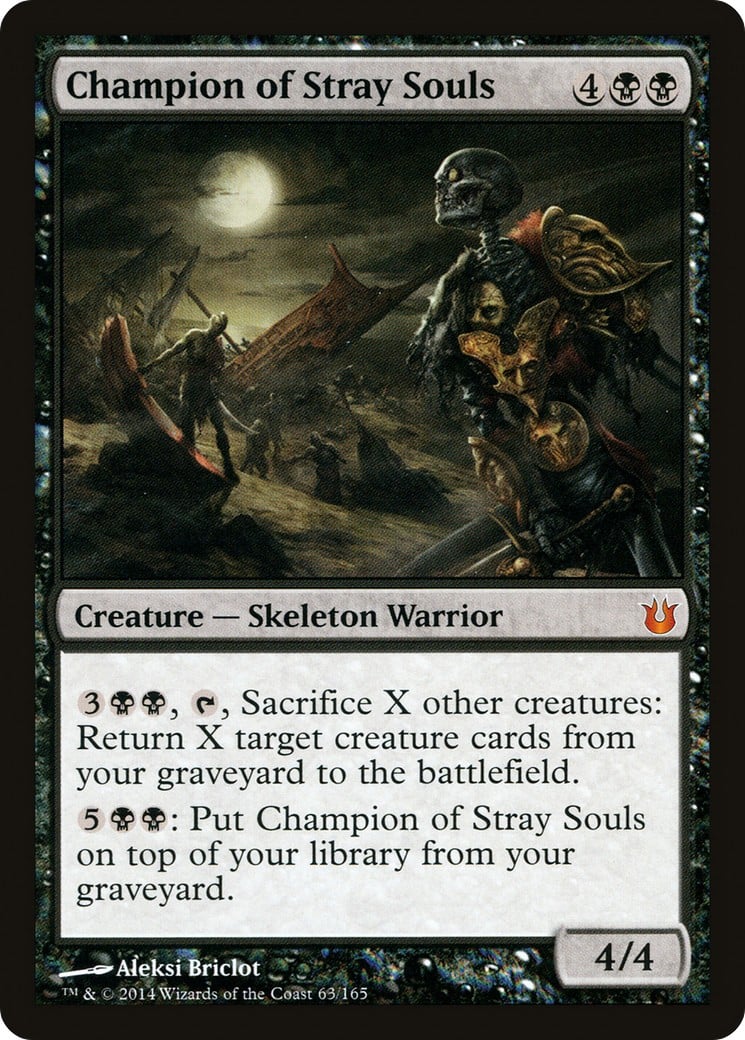 Champion of Stray Souls - Image 1