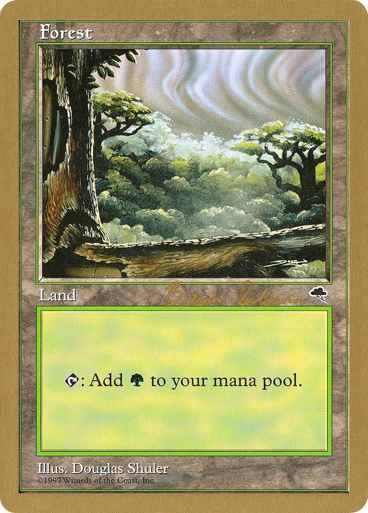 Forest - Image 1
