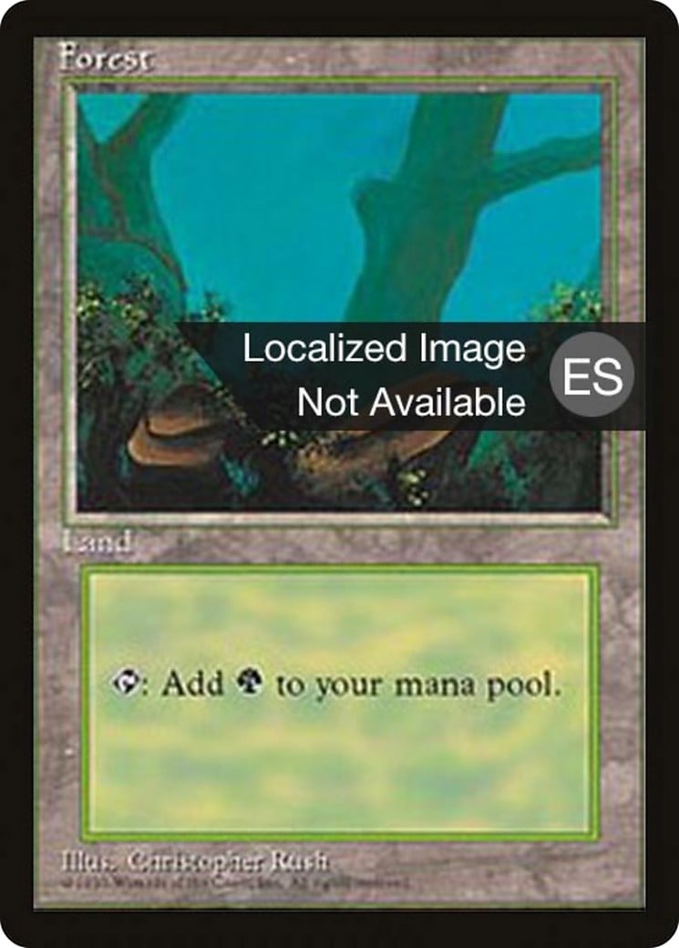 Forest - Image 1
