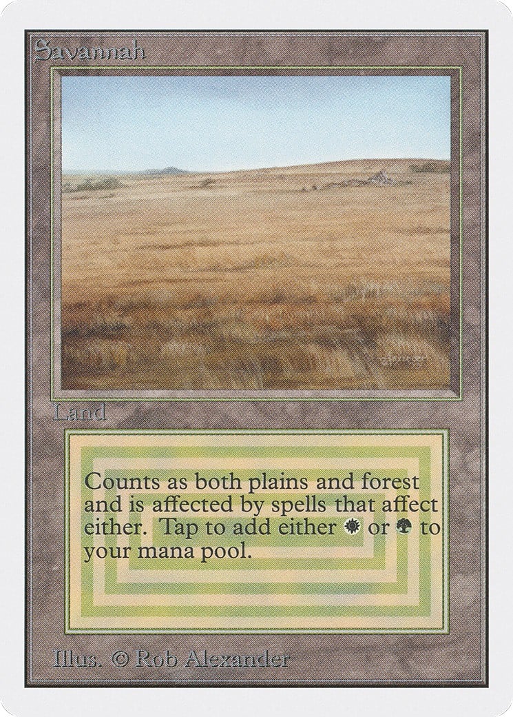 Savannah - Image 1