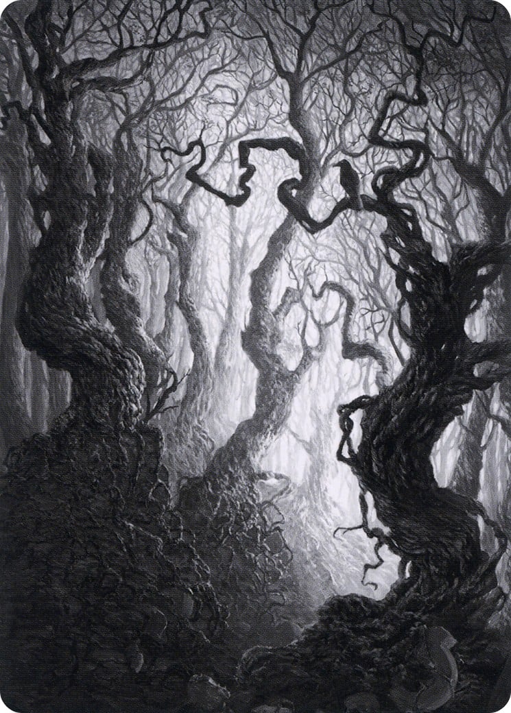 Forest // Forest - Image 1