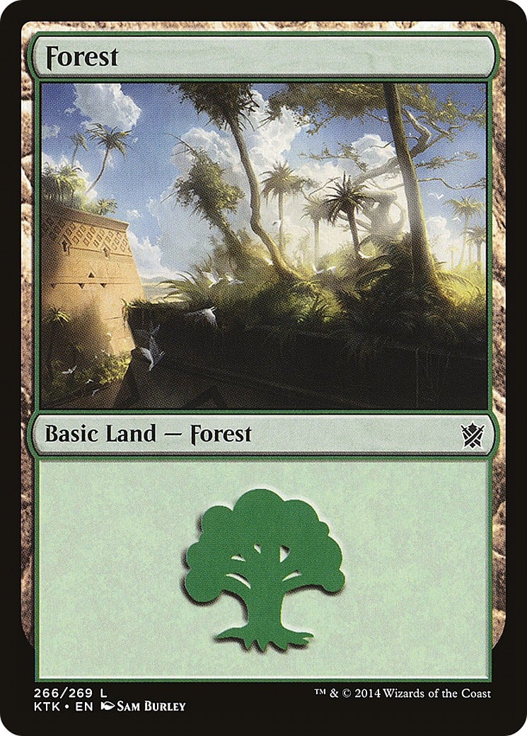 Forest - Image 1