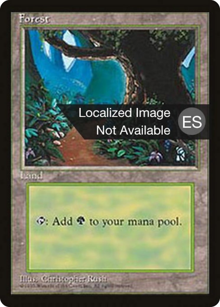 Forest - Image 1