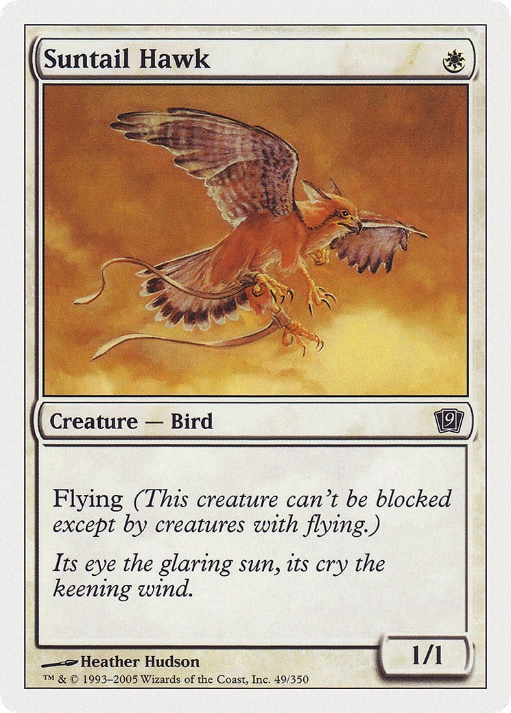 Suntail Hawk - Image 1