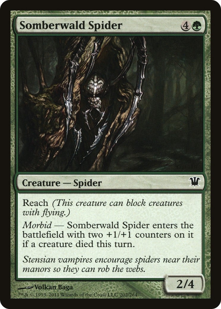 Somberwald Spider - Image 1