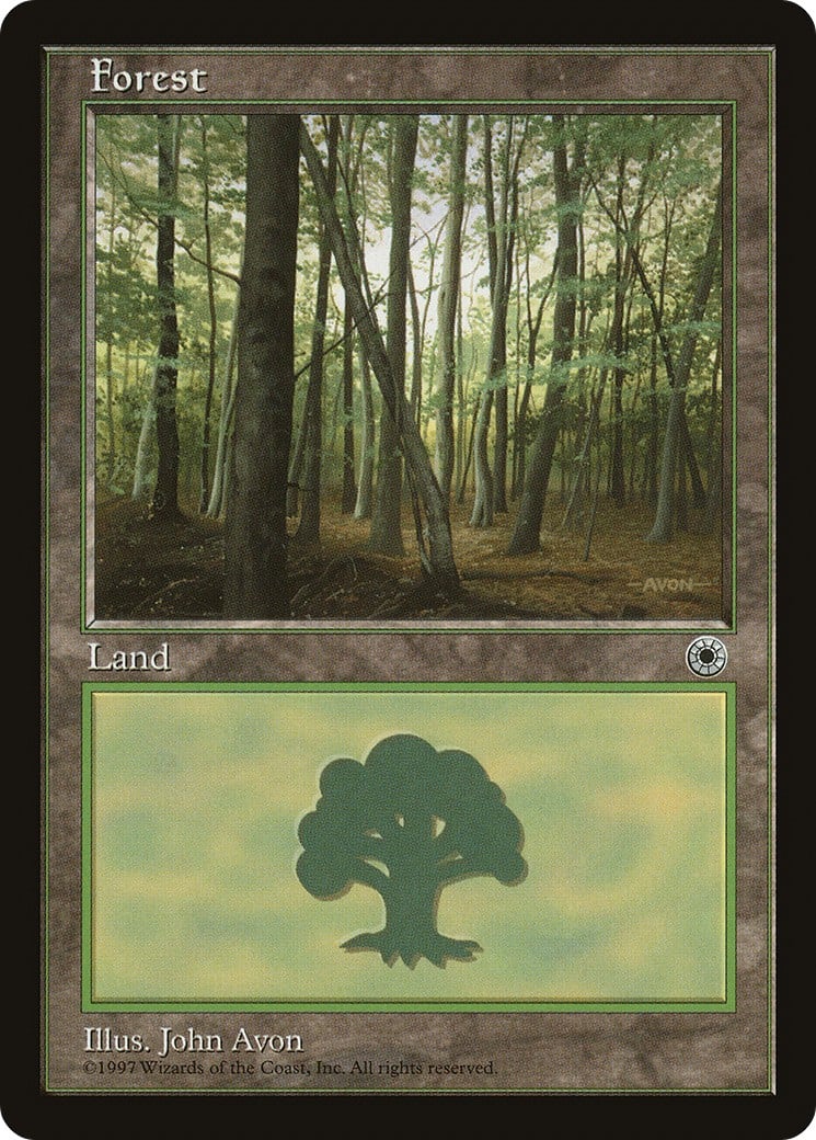 Forest - Image 1