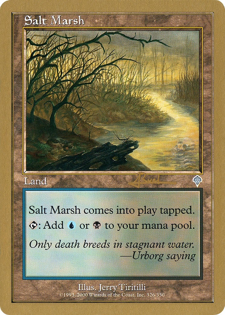 Salt Marsh - Image 1