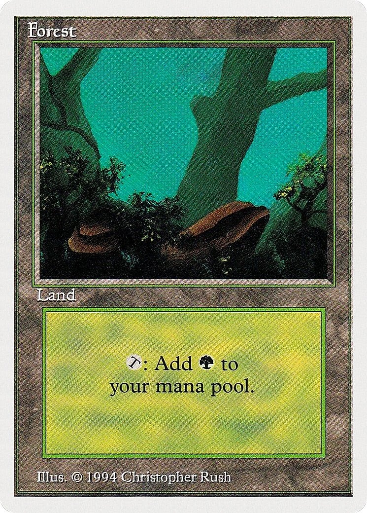 Forest - Image 1