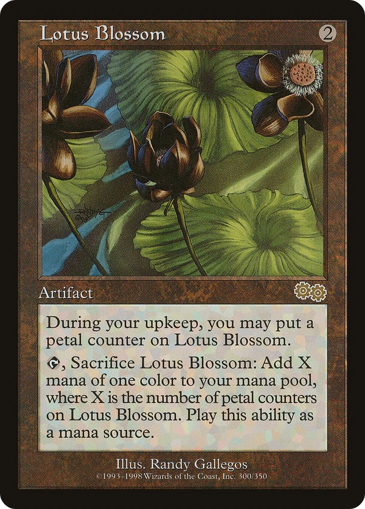 Lotus Blossom - Image 1