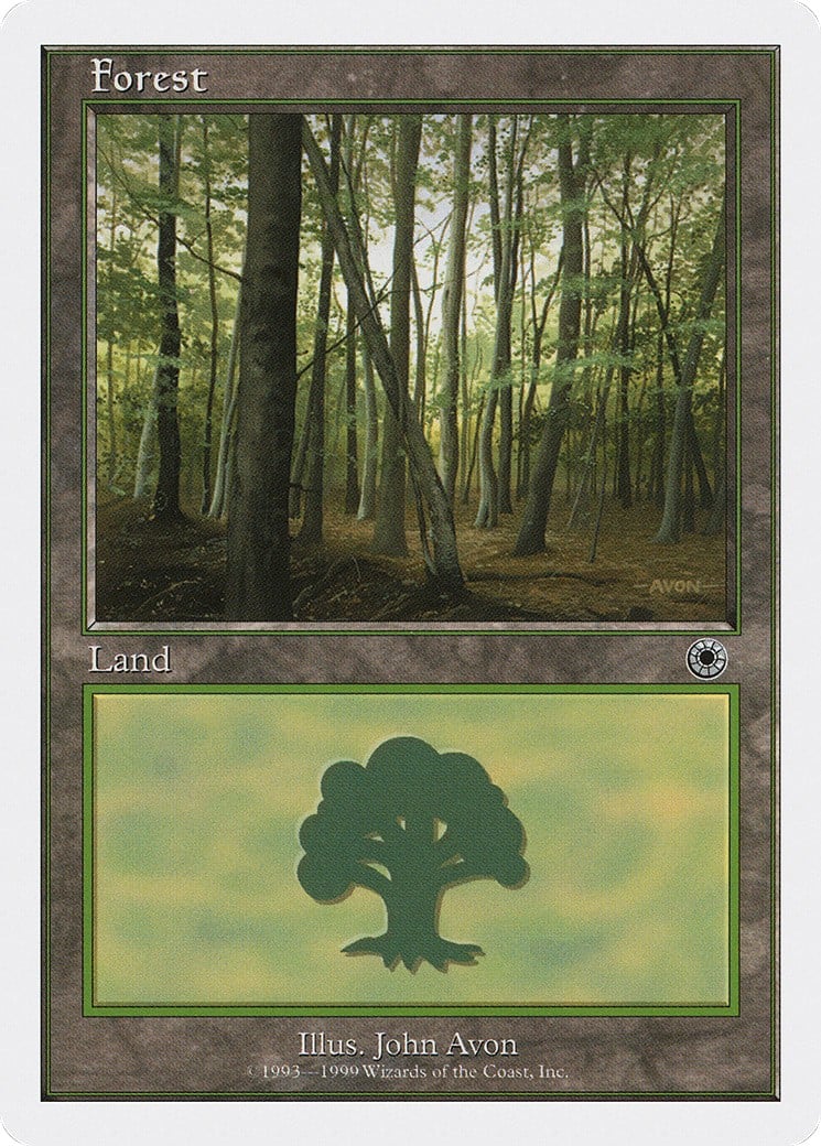 Forest - Image 1