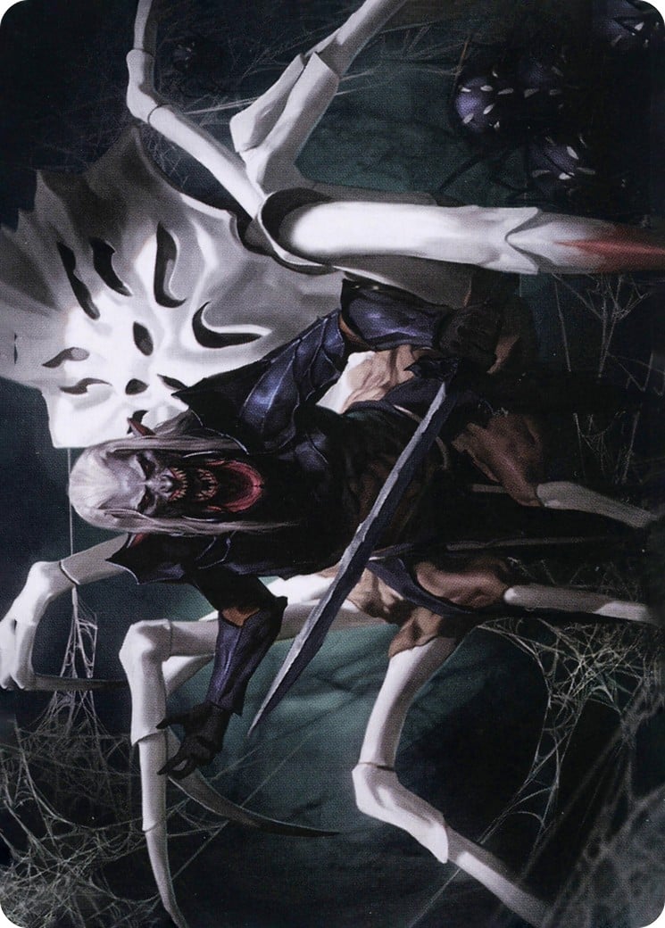 Drider // Drider - Image 1