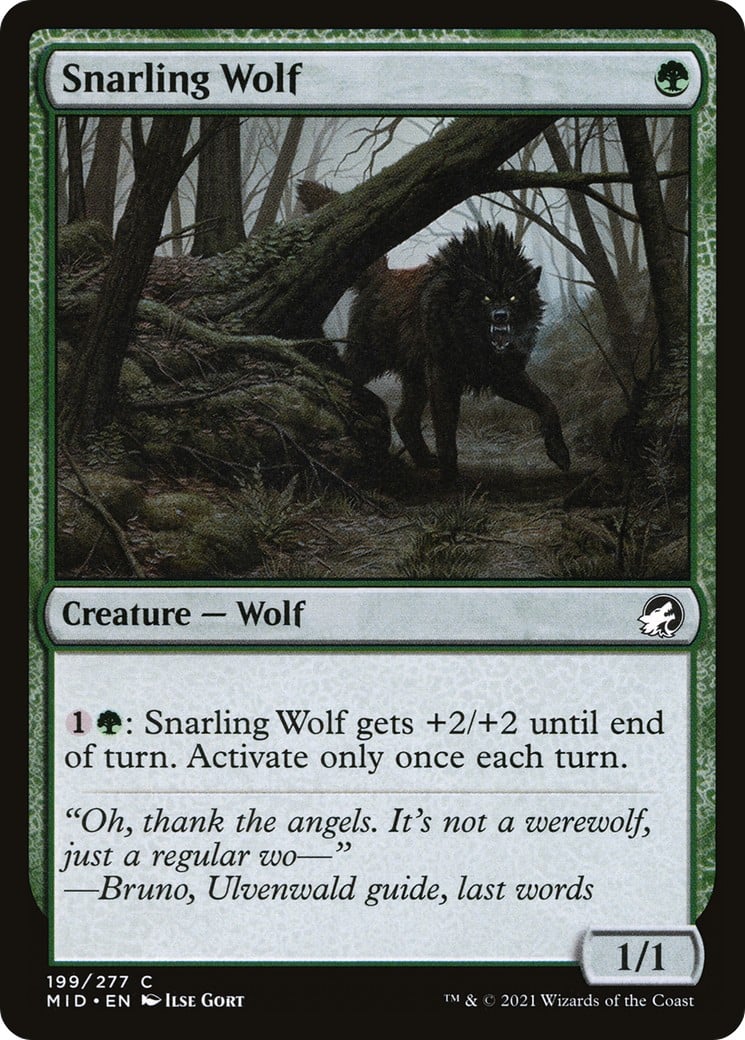 Snarling Wolf - Image 1