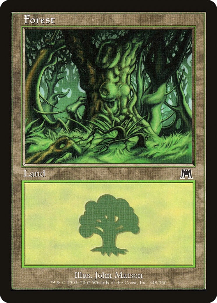 Forest - Image 1