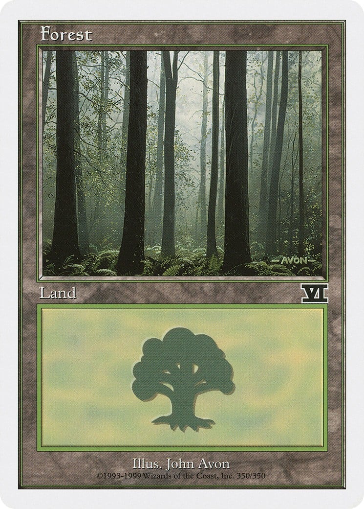 Forest - Image 1