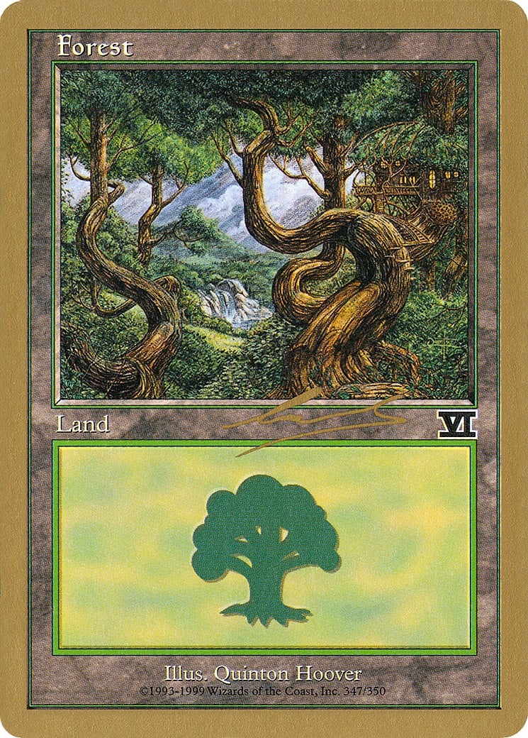 Forest - Image 1