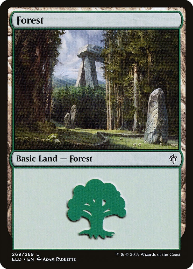 Forest - Image 1