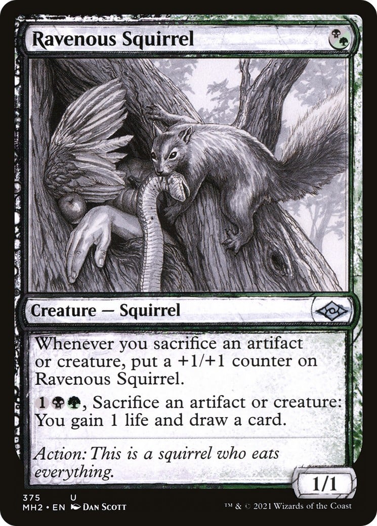 Ravenous Squirrel - Image 1
