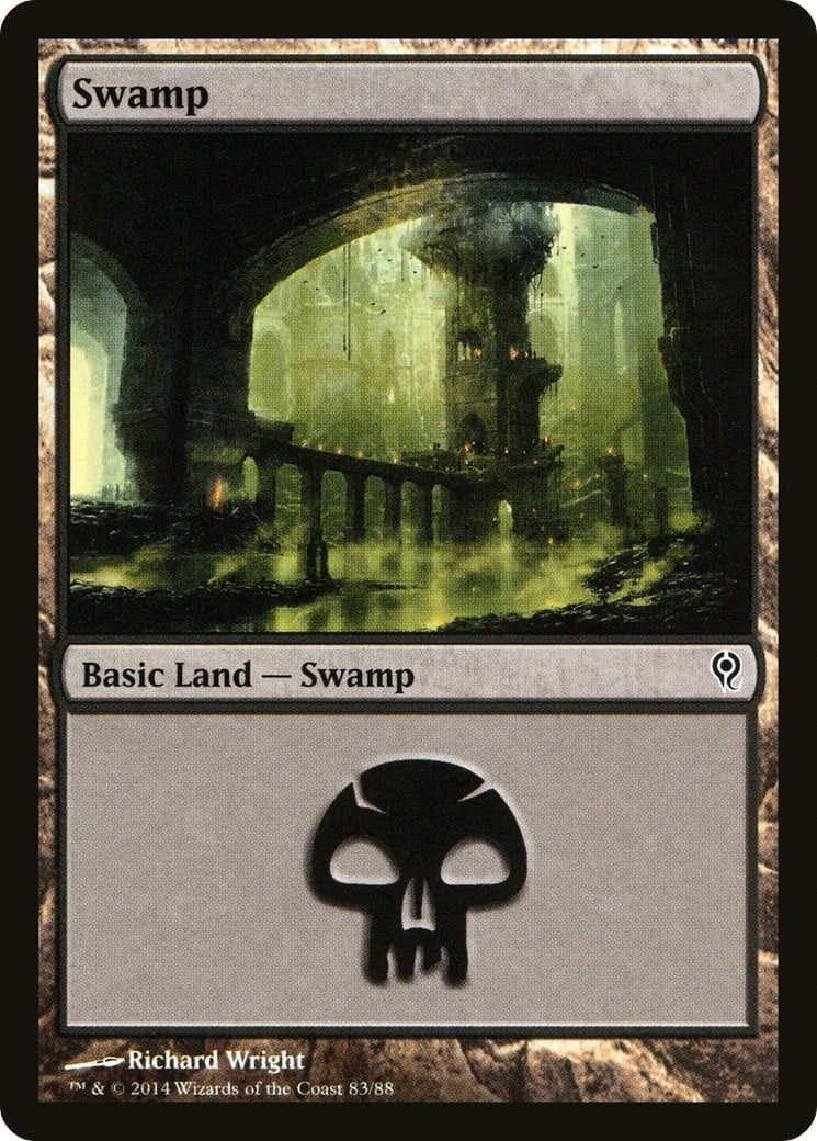 Swamp - Image 1