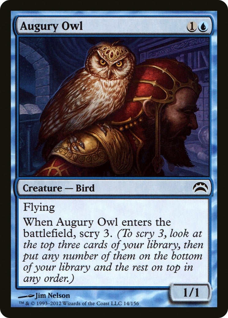 Augury Owl - Image 1