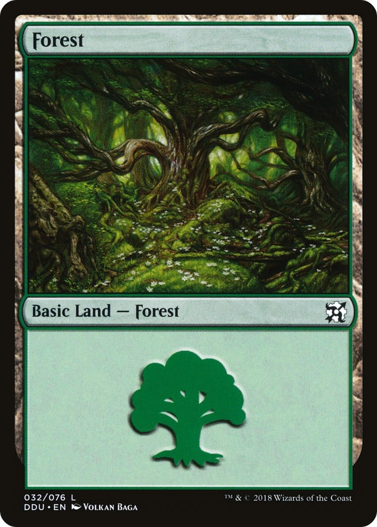 Forest - Image 1