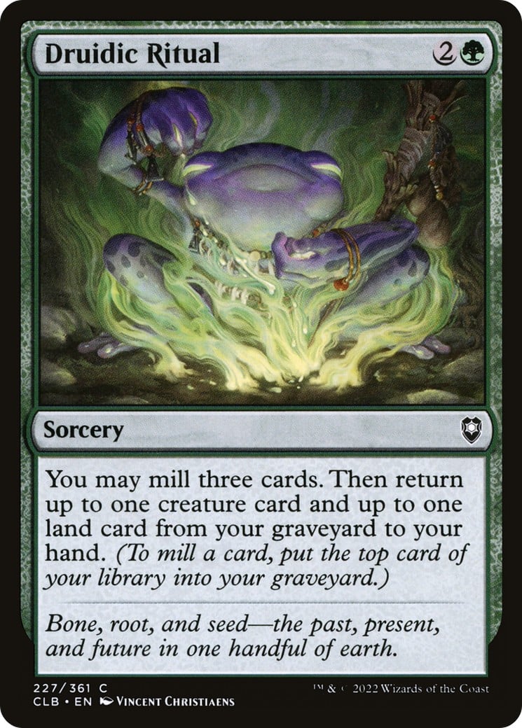 Druidic Ritual - Image 1