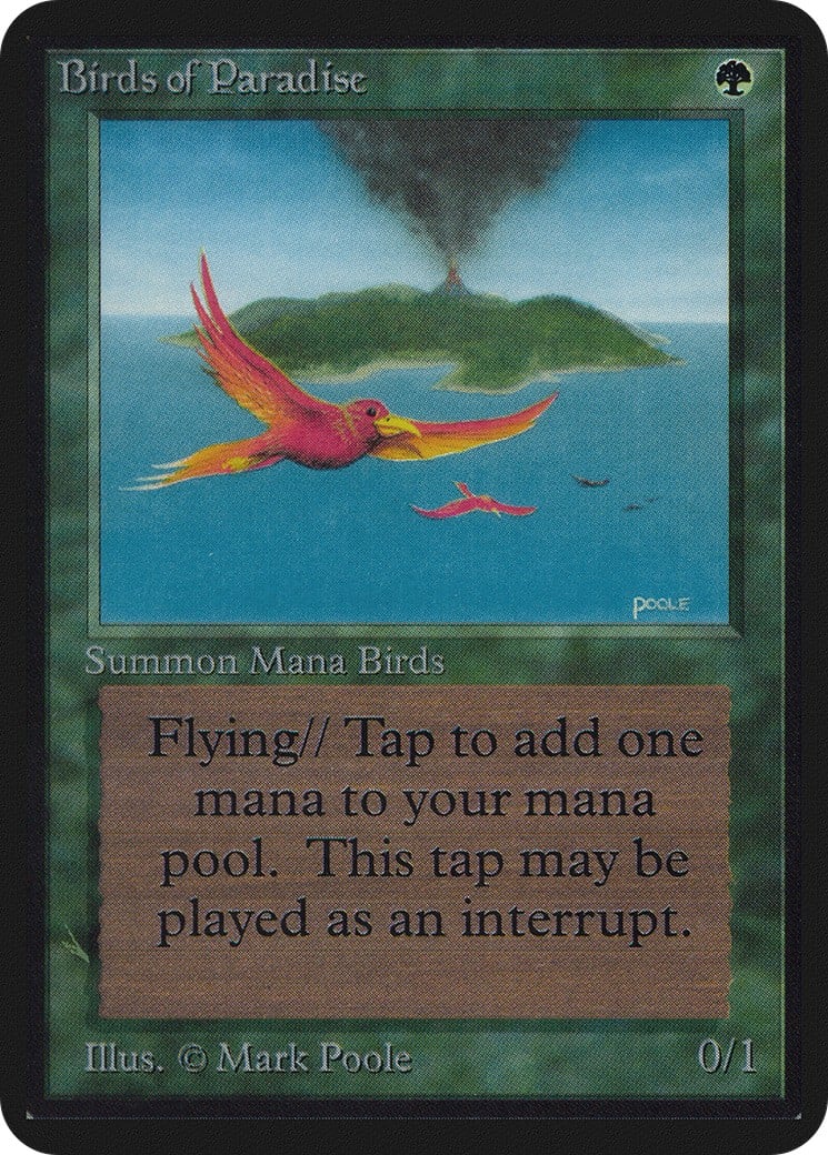 Birds of Paradise - Image 1