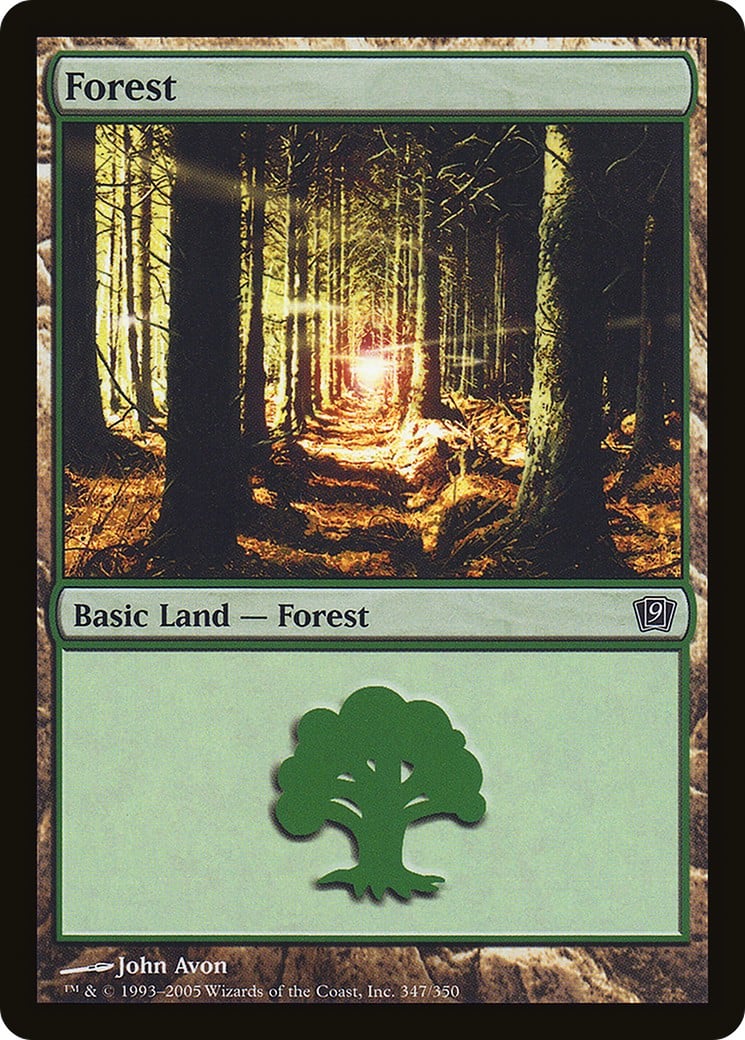 Forest - Image 1