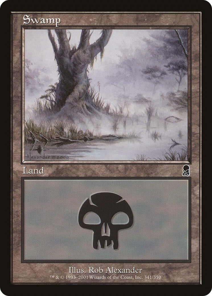 Swamp - Image 1