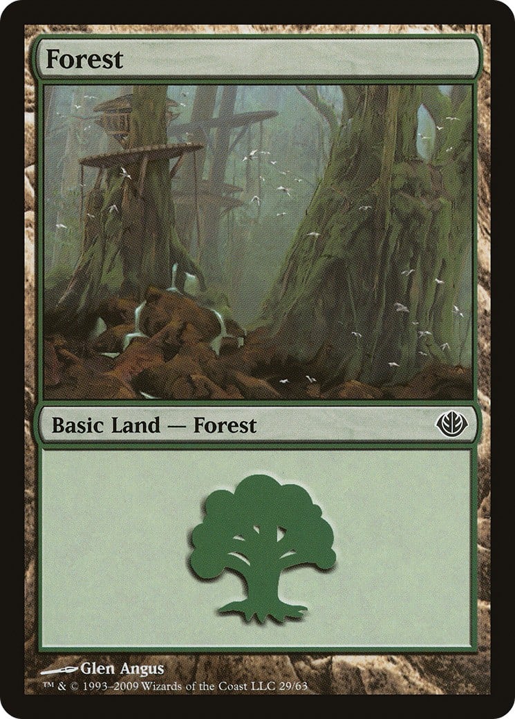 Forest - Image 1