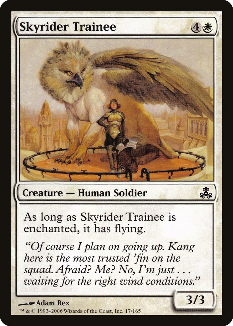 Skyrider Trainee - Image 1