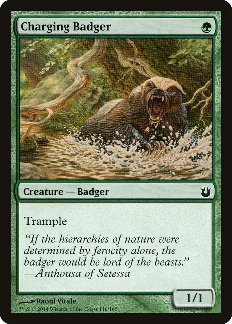 Charging Badger - Image 1