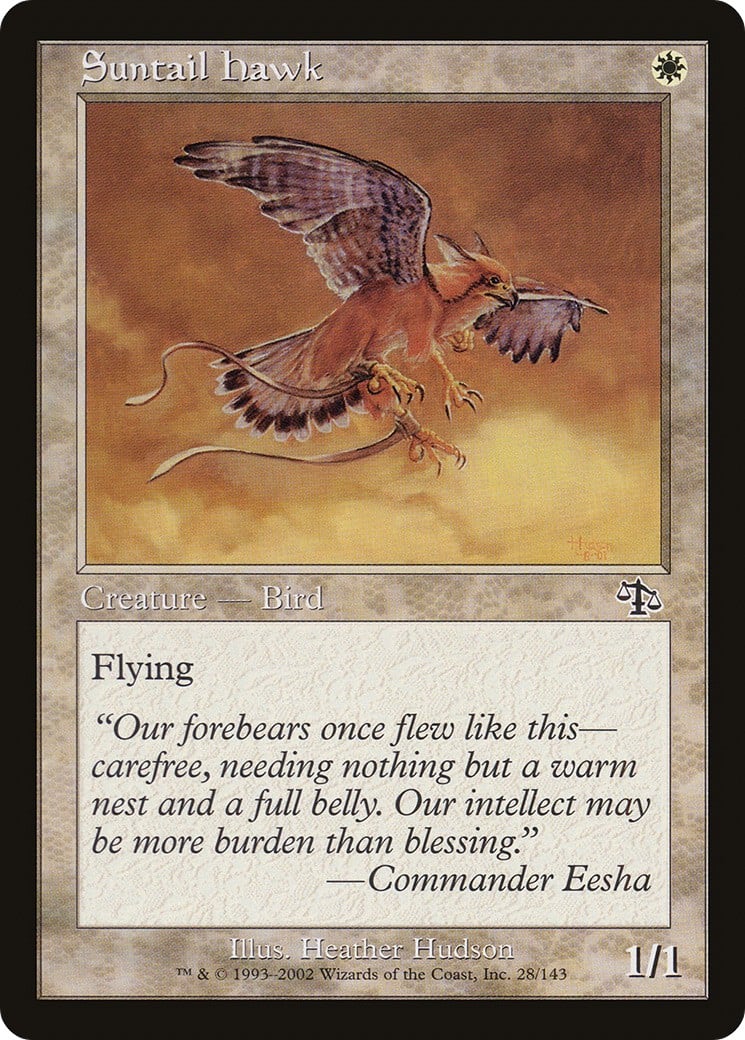 Suntail Hawk - Image 1