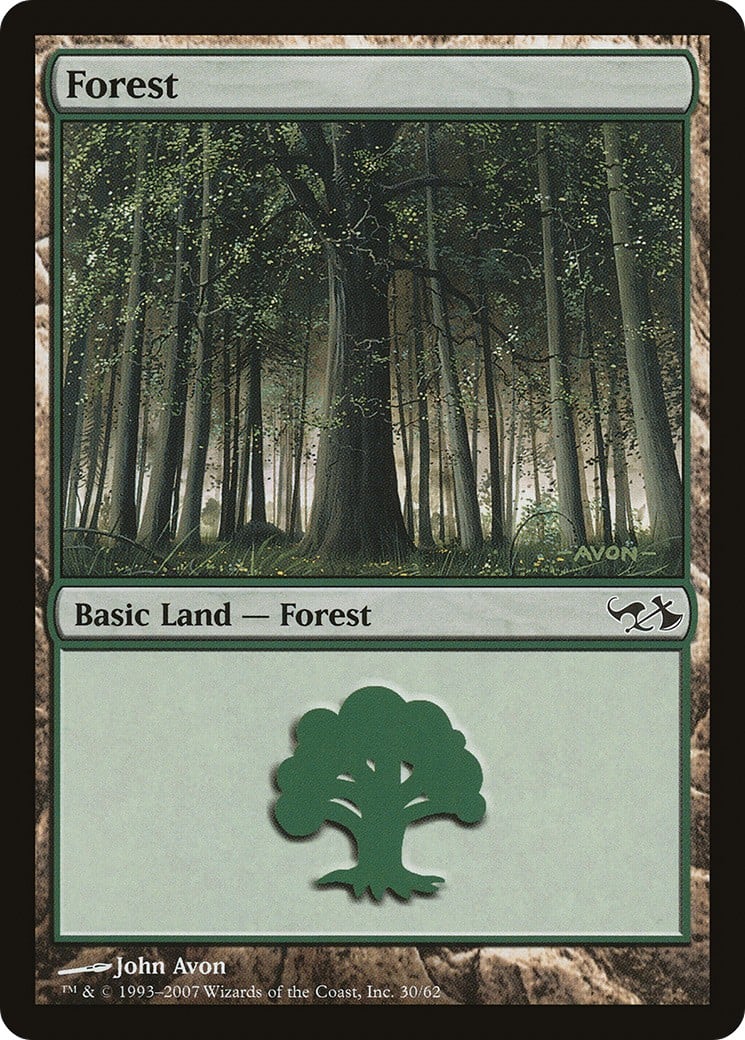 Forest - Image 1