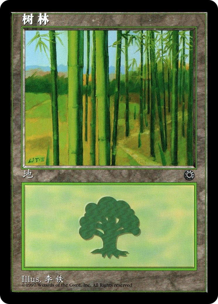Forest - Image 1