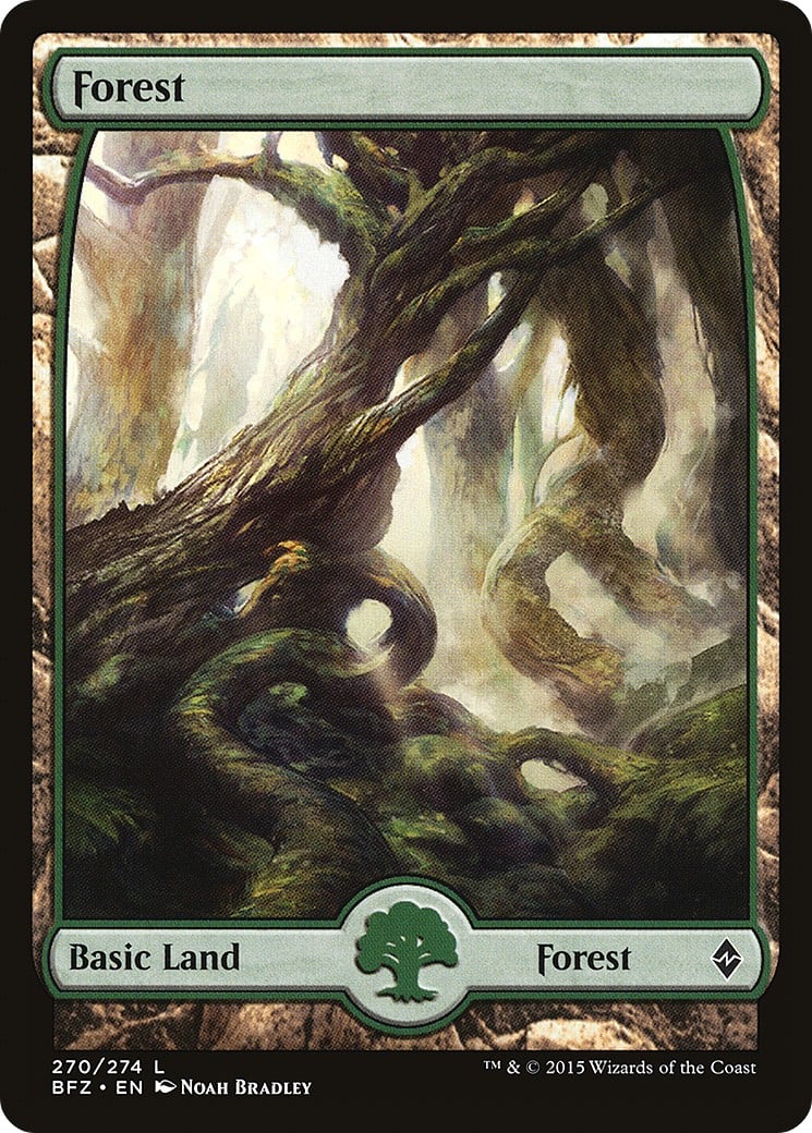 Forest - Image 1