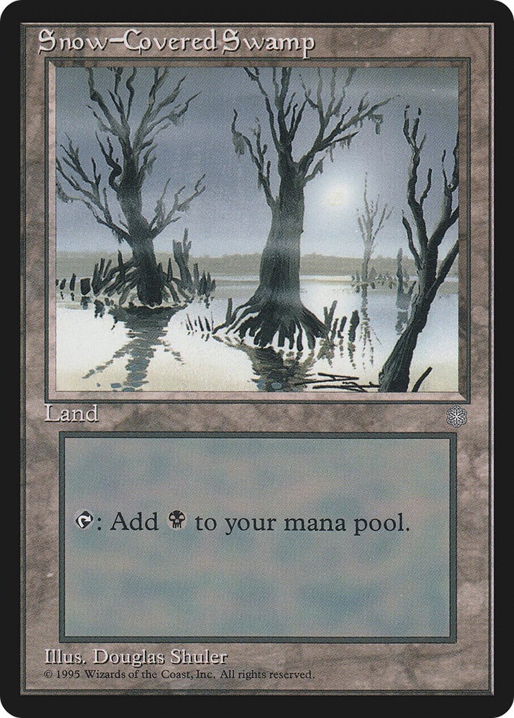 Snow-Covered Swamp - Image 1