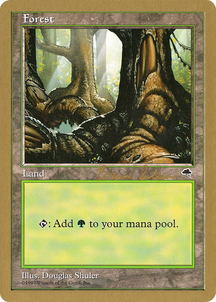 Forest - Image 1