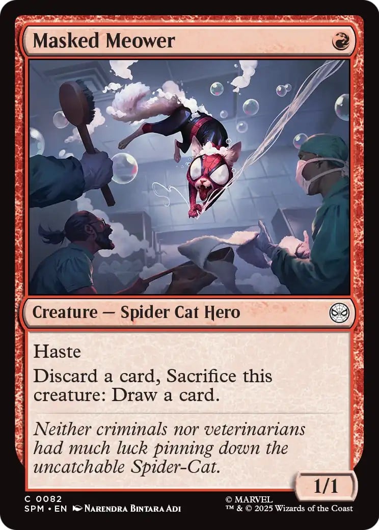 Masked Meower - Image 1