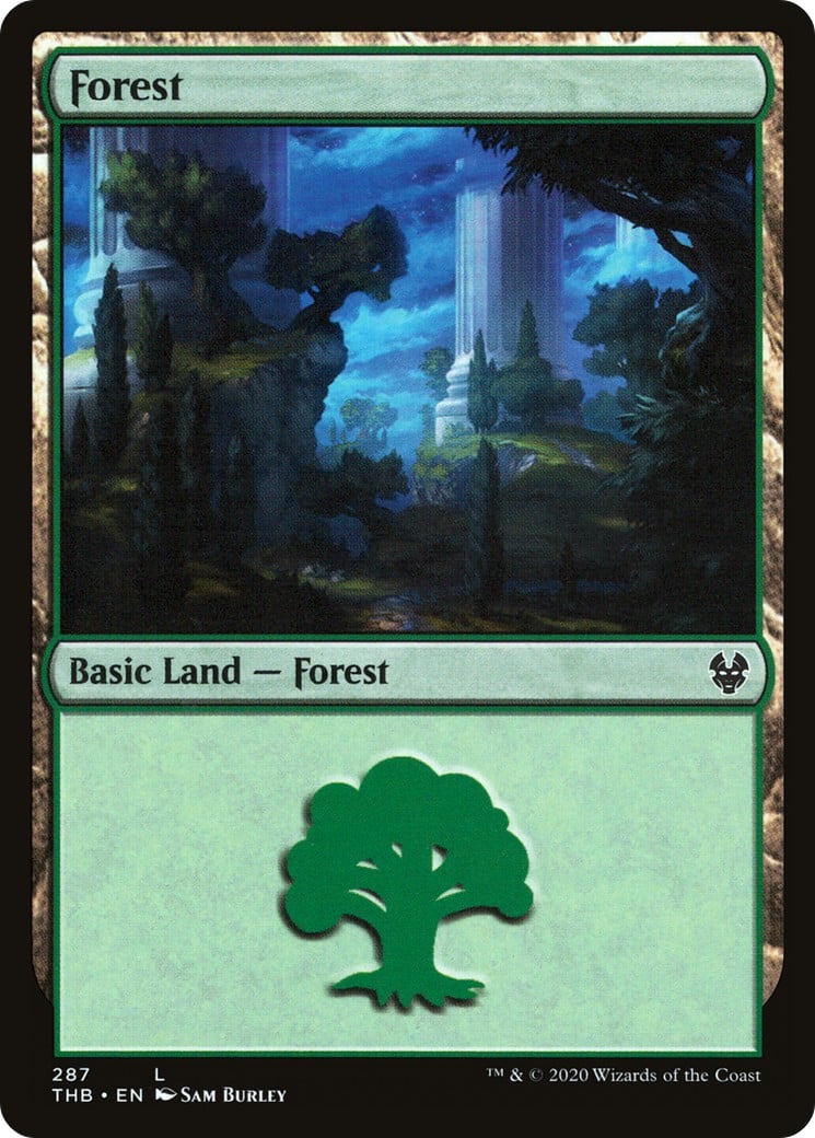 Forest - Image 1