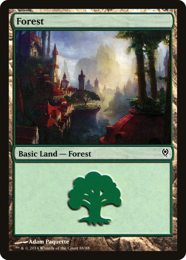 Forest - Image 1