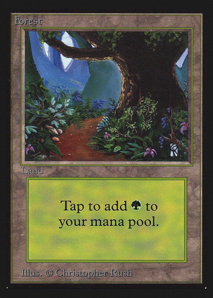 Forest - Image 1