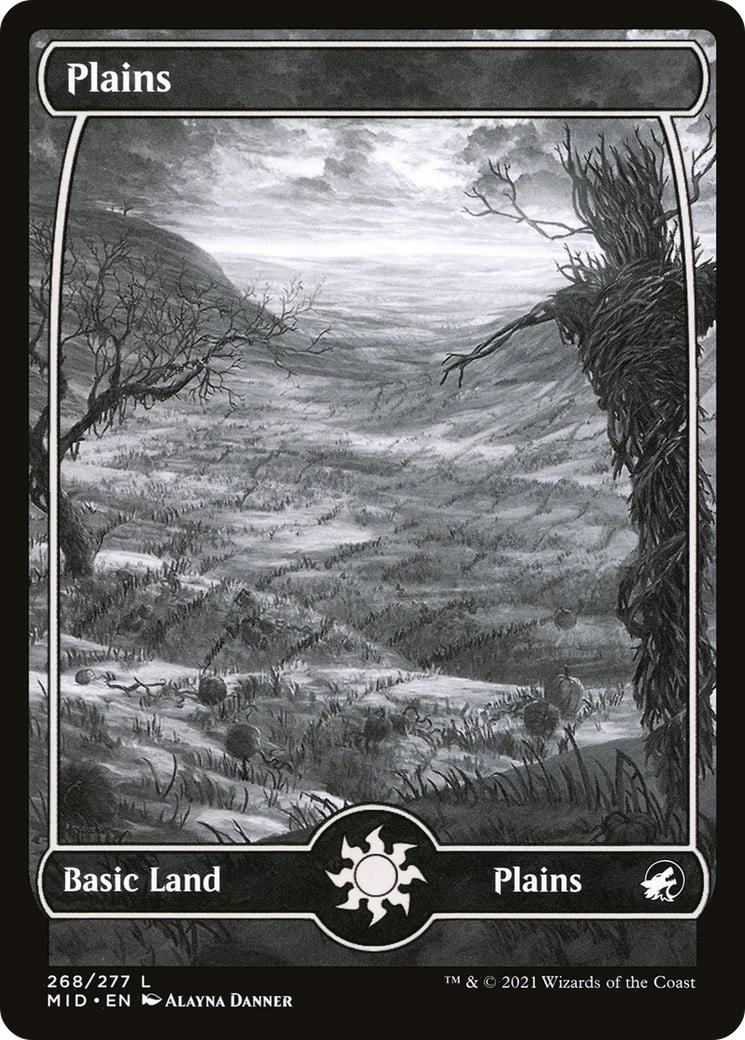 Plains - Image 1