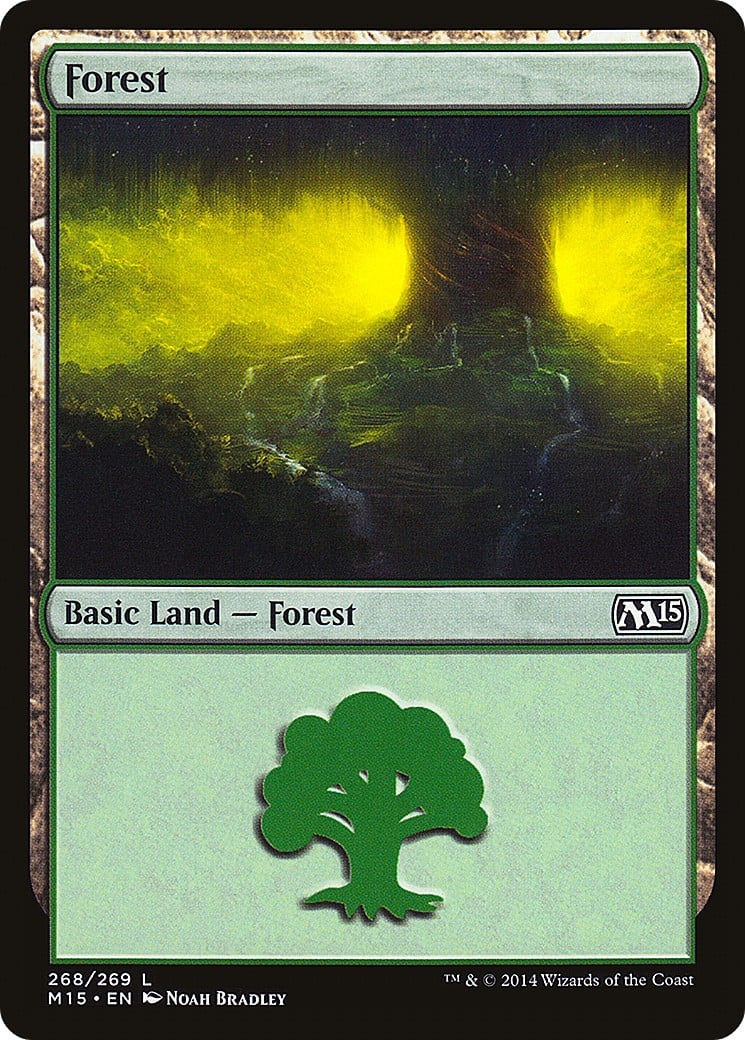 Forest - Image 1