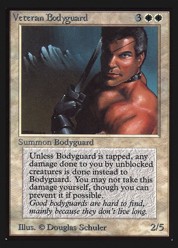 Veteran Bodyguard - Image 1