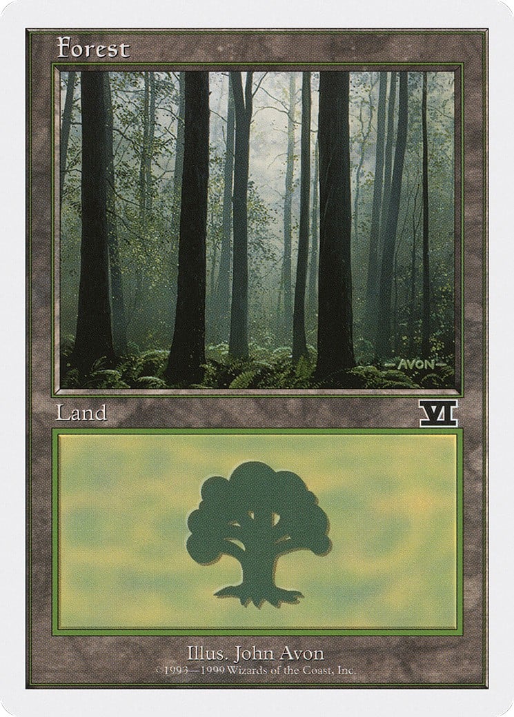 Forest - Image 1