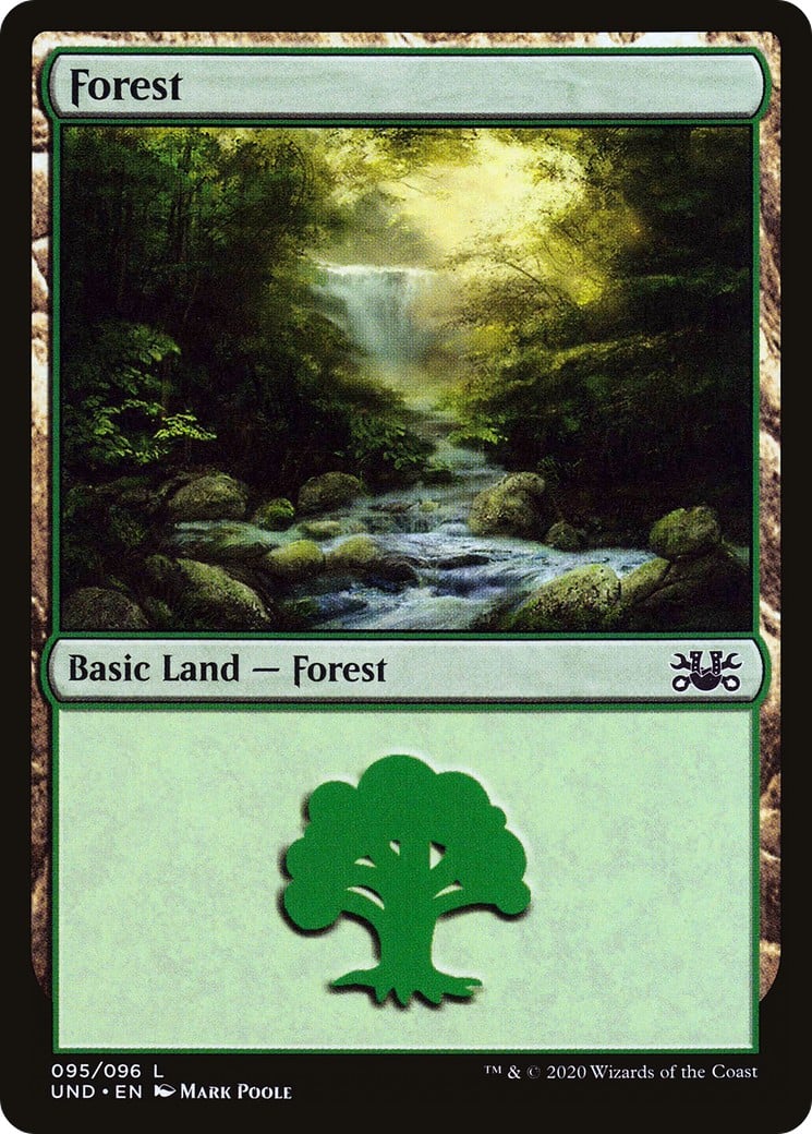 Forest - Image 1