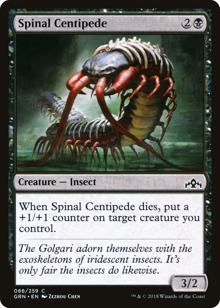 Spinal Centipede - Image 1